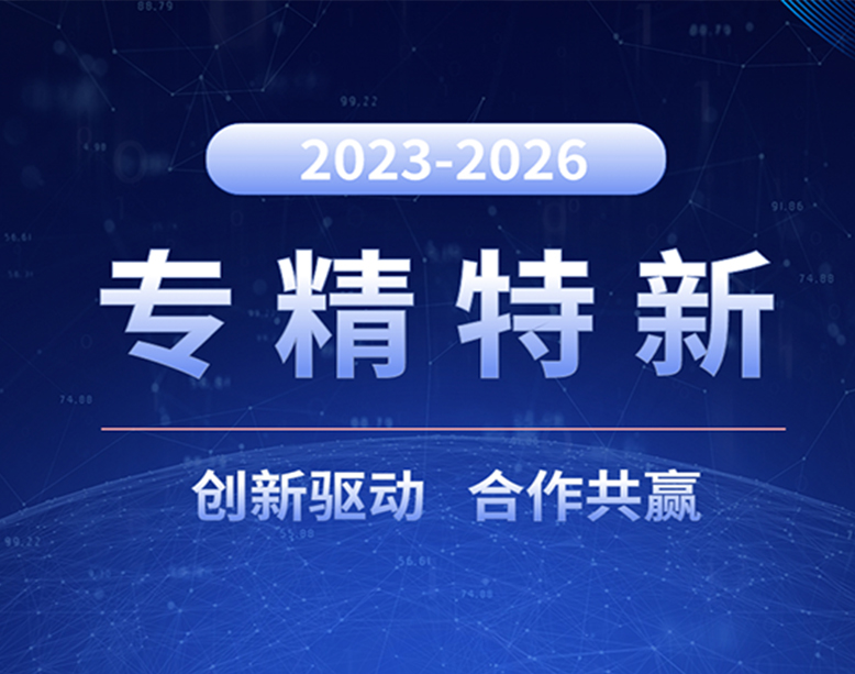 喜报！3L集团被授予江西省“专精特新”中小企业称号